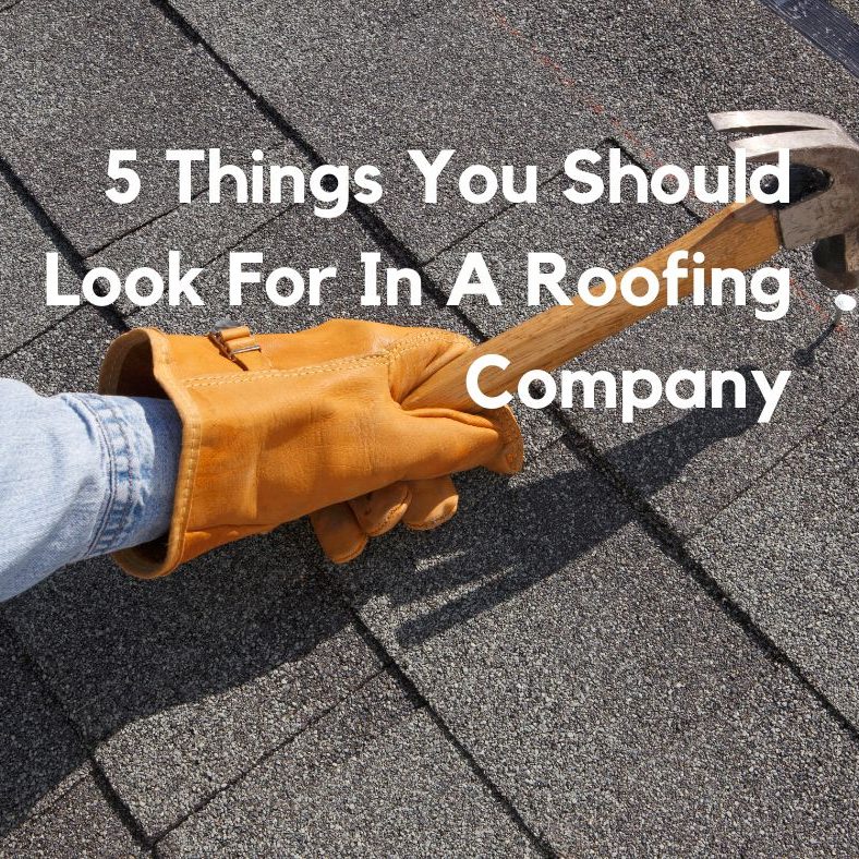 SkyManor Roofing FB Posts-company