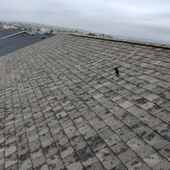 aHR0cHM6Ly9jb21wYW55Y2FtLXBlbmRpbmcuczMuYW1hem9uYXdzLmNvbS9hNWYzODk2ZC1jNGI4LTQ1OGUtOTJmOC0yOGQ1ZDBlYjExODMuanBn