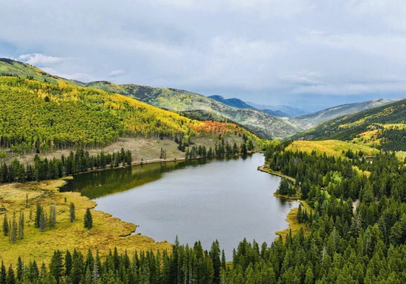 Colorado Foothills Lake and Aspen Forest aspen trees, defensible space, wildfire mitigation, Colorado foothills, ladder fuels, home hardening, SafeShield