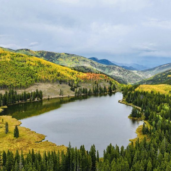 aspen trees, defensible space, wildfire mitigation, Colorado foothills, ladder fuels, home hardening, SafeShield